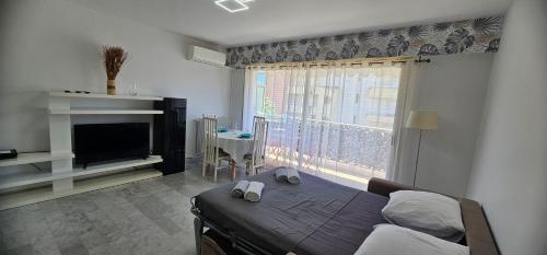 un salon avec un canapé et une fenêtre dans l'établissement Magnifique studio Juan les pins-plage à pied, à Antibes