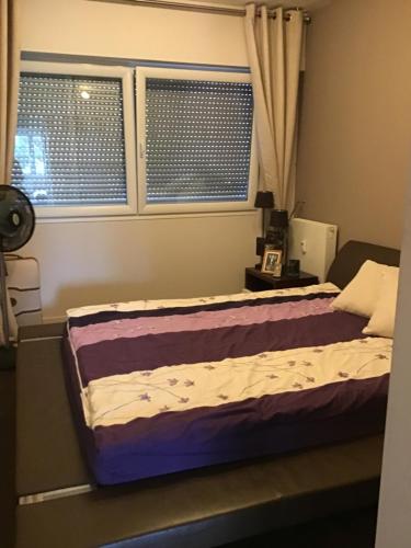 une chambre avec un lit et deux fenêtres dans l'établissement Chambre à louer dans un panthause, à Bourg-la-Reine