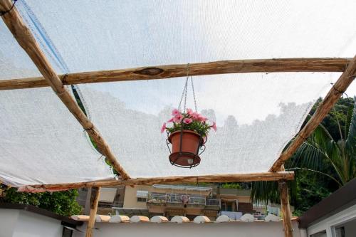 a hanging flower pot with flowers in it hanging from a roof at La Risacca in Cetara