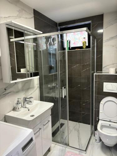 ノヴィ・パザルにあるIDEA LUX E.Sのシャワー、洗面台、トイレ付きのバスルーム
