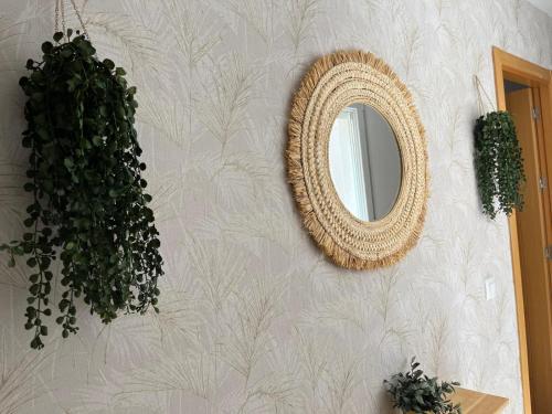 a mirror on a wall with a plant at Jesús Del Perdón in Manzanares