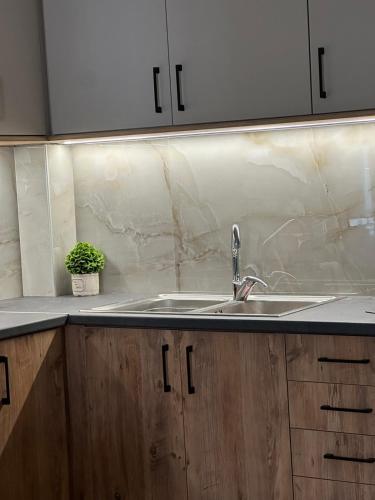 a kitchen with a sink and a potted plant at Cozy Karystos Apartment in Karistos