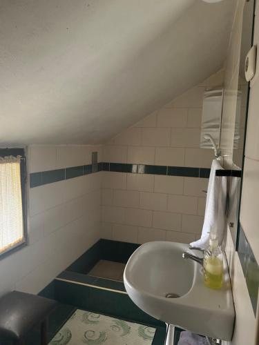 a bathroom with a sink and a bath tub at B&B Lukač in Kutina