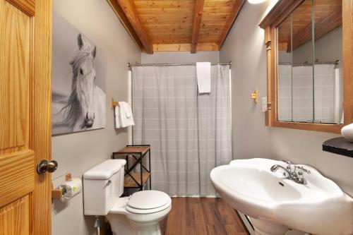 a bathroom with a toilet and a sink and a shower at Scenic Seclusion w Hot Tub View PuttPutt More in Sevierville