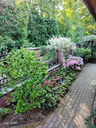 a garden with pink and white flowers and a bench at Ferienwohnung Schröder in Putbus