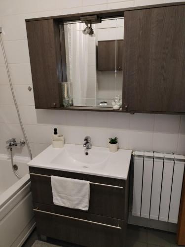 a bathroom with a sink and a mirror at Apartman Ivana in Zagreb