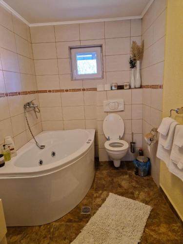 a bathroom with a tub and a toilet and a window at Casa Alina in Arpaşu de Sus