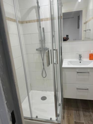 une salle de bain avec douche et lavabo dans l'établissement Bel appartement rénové 4 personnes proche plage et toutes commodités, à Six-Fours-les-Plages
