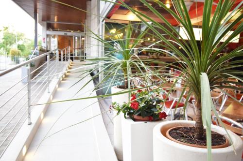 un balcone con piante in vaso in un edificio di Hotel Galles a Lido di Jesolo