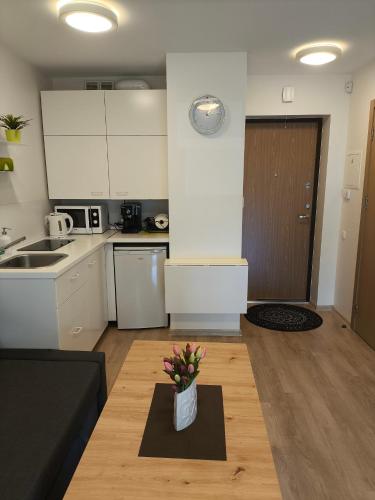 2 kambarių apartamentai