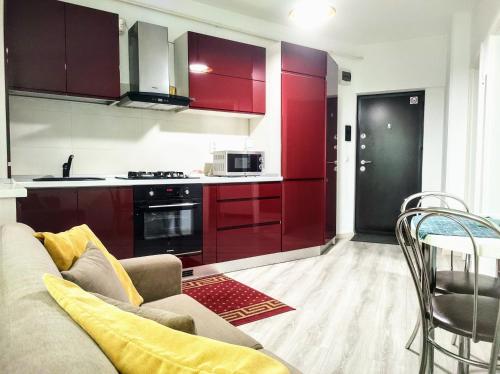 Simona Apartament Palas Mall 1 في ياش: غرفة معيشة مع أريكة ومطبخ