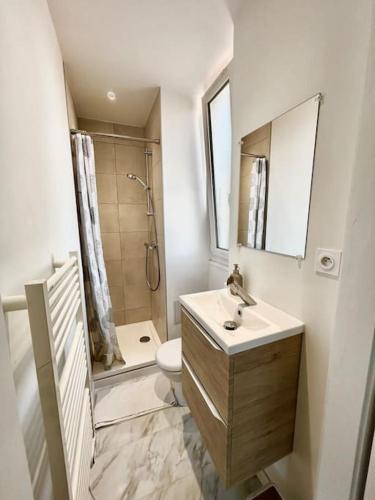 une salle de bain avec un lavabo, des toilettes et une douche dans l'établissement Charmant 2 chambres 2 salles de bain, à Besançon