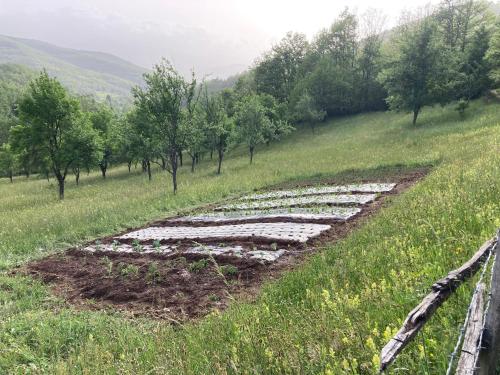 a field with a bunch of vegetables on a hill at Konak Nina in Bijelo Polje