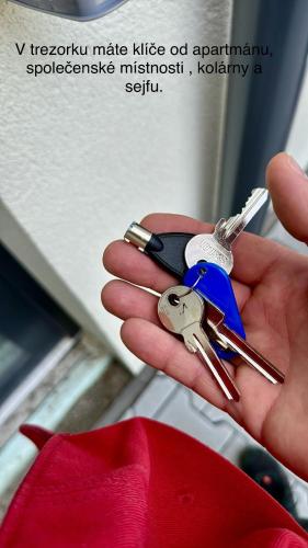 a person holding a pair of keys in their hand at Paseky Apartments Resort in Nové Město na Moravě