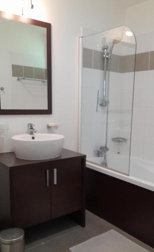 une salle de bain avec un lavabo et une douche dans l'établissement Cottage prenium tout confort, à Parentis-en-Born