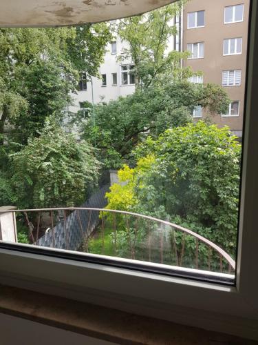 a window with a view of a garden at Modern apartment cologne in Cologne