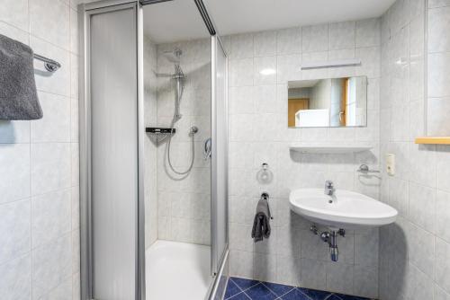 拉迪斯的住宿－Jägerlodge Apartments，带淋浴和盥洗盆的浴室