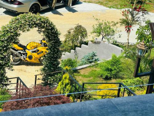 Una motocicleta amarilla está estacionada en un jardín en Family Hotel Sunset en Chakvi