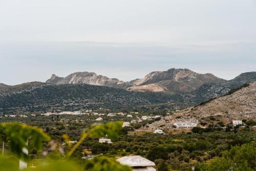 a view of a valley with mountains in the background at Feel Filoti in Philotium