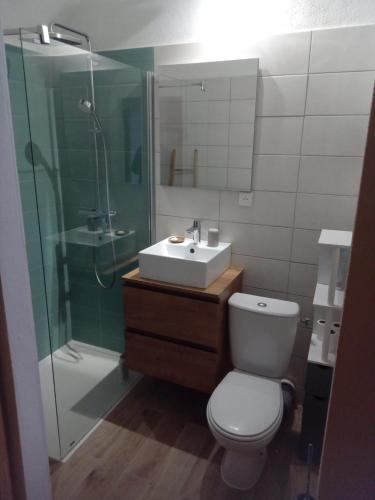 une salle de bain avec une douche, des toilettes et un lavabo dans l'établissement Studio en Haute-Corse, à Muro