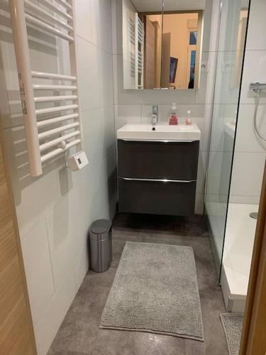 une petite salle de bain avec un lavabo et un miroir dans l'établissement Studio cosy 2 pers en plein centre avec balcon, à Le Touquet-Paris-Plage