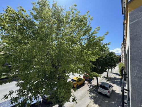 een uitzicht over een straat met auto's en een boom bij Paradiso Apartments in Ohrid