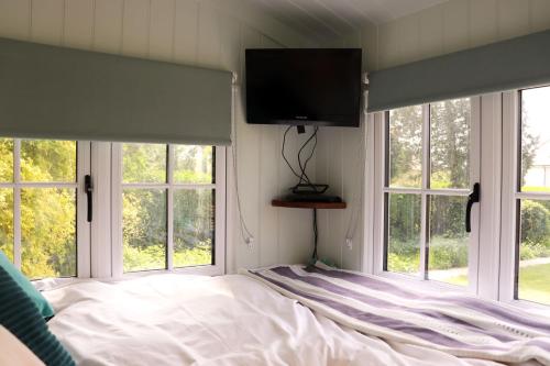 Cobo Cottage في شيشستر: غرفة نوم مع سرير مع نوافذ وتلفزيون بشاشة مسطحة