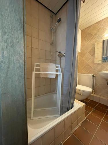 a bathroom with a shower with a sink and a toilet at Siloah Ferienwohnung in Eutin