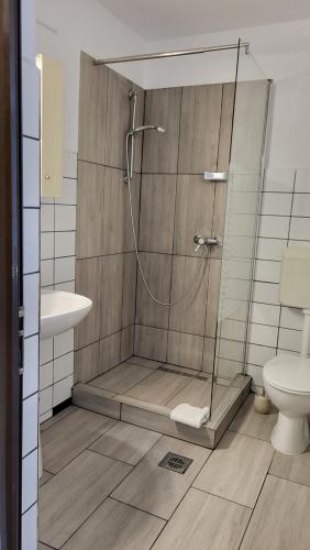 y baño con ducha, lavabo y aseo. en M7 Villa Bed& Bistro, en Timisul de Jos