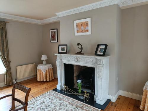a living room with a fireplace and a chair at Bushmount Lodge in Clonakilty