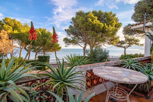 Les Tonyines 68 - apartamento con vistas y terraza