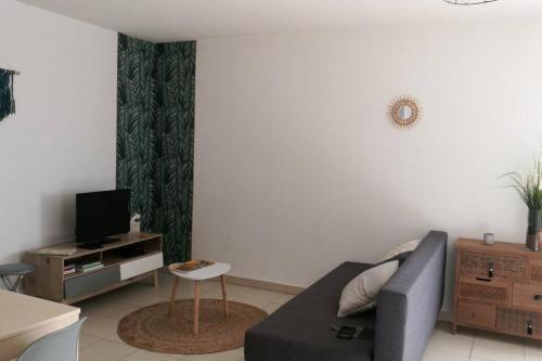Studio Castelnau-le-Lez