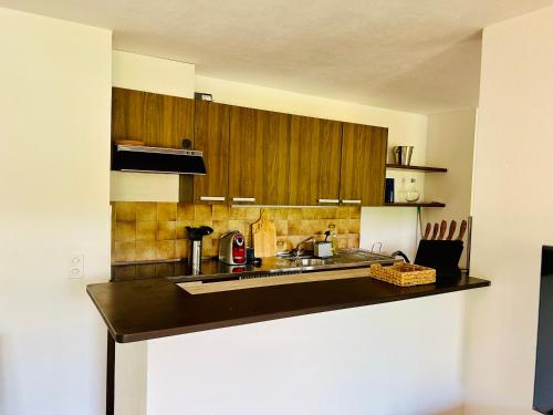 a kitchen with a sink and wooden cabinets at Paradise by the Lake Lugano in Brusino Arsizio