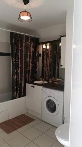 une salle de bain avec une machine à laver et un lavabo dans l'établissement Studio Castelnau-le-Lez, à Castelnau-le-Lez