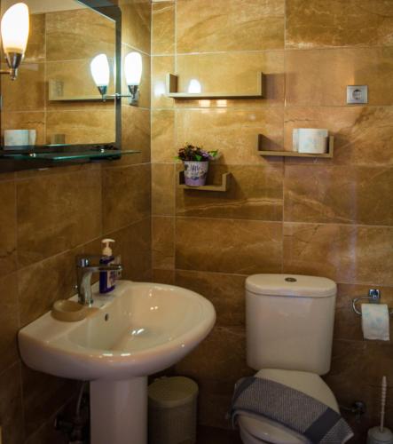 a bathroom with a sink and a toilet and a mirror at Fanis seafront apartments in Agios Gordios