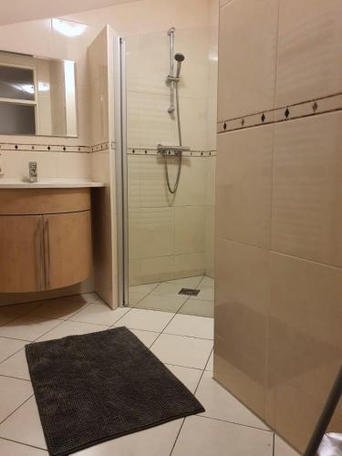 a bathroom with a shower and a sink at Kust Geluk in Schoorl