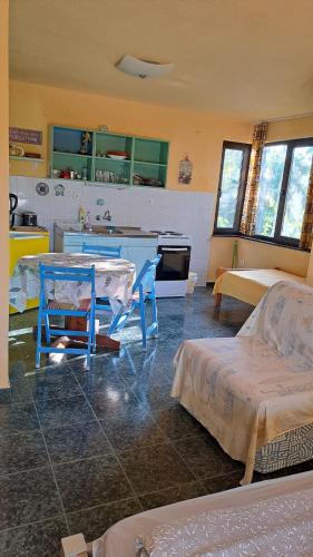 Η κουζίνα ή μικρή κουζίνα στο Вила Фани Синеморец