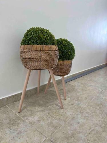two baskets with plants on wooden legs next to a wall at Bueno Paradise Condo In Marbella in Juan Dolio
