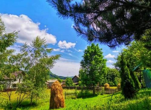 Gallery image of Pensiunea Cristiana-Bucovina in Mănăstirea Humorului