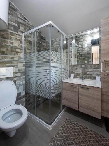 a bathroom with a shower and a toilet and a sink at Lily's Rural House in Jarki Horvatićevi