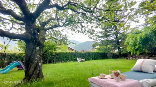 a table with cups on it next to a tree at Cal Pastor de Planès in Planoles