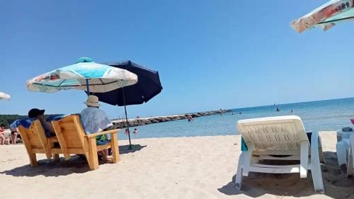 Φυσικό τοπίο κοντά σε αυτός ο ξενώνας