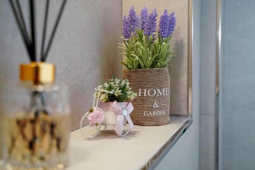 a shelf with purple flowers and a pot of plants at My Sky Përmet in Përmet