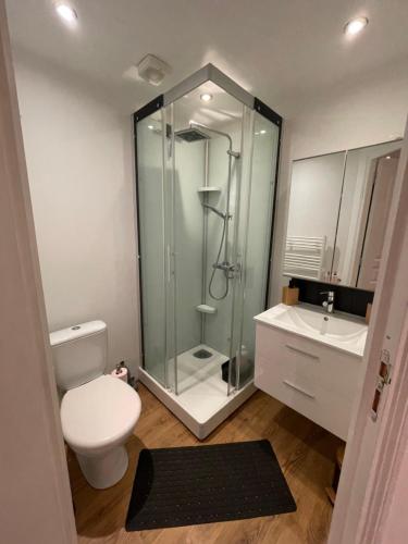 une salle de bain avec une douche, des toilettes et un lavabo dans l'établissement Charmant gîte rural en Bretagne, à Rouillac