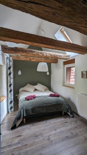 a bedroom with a large bed in a attic at Tu casita au centre-ville de Rouffach in Rouffach