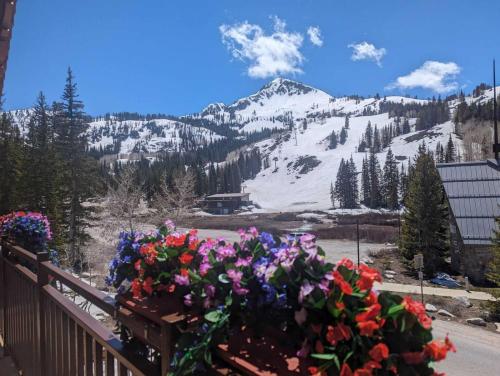 a bunch of flowers on a balcony with a mountain at Brighton Ski Resort Hidden Falls 1 Bedroom Chalet Utah in Brighton