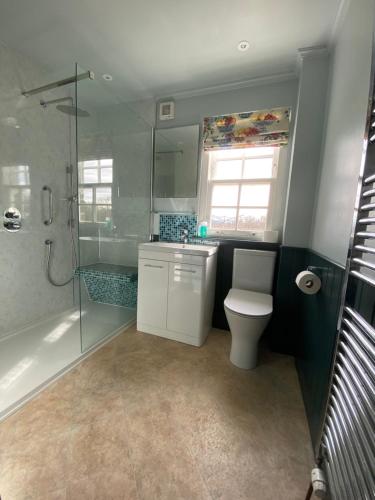 La salle de bains est pourvue de toilettes, d'une douche et d'un lavabo. dans l'établissement Private detached cottage sleeps 4, à Crieff