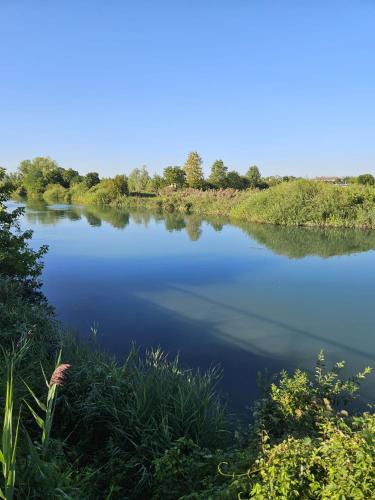 a view of a river with trees in the background at LA ROSA DEL SILE in Quarto dʼAltino