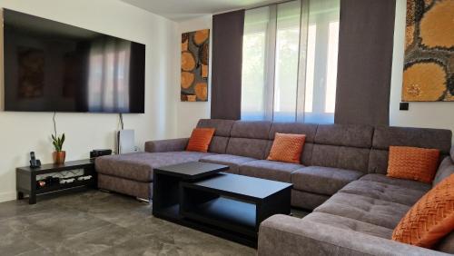 CityLights & WineCountryDelights