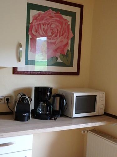 a microwave sitting on top of a kitchen counter at Ferienwohnung Silvia in Sankt Kanzian